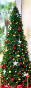 julgran 20 lista